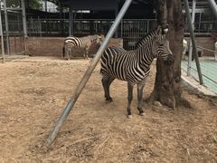 -迪茵湖田家舍生态农场