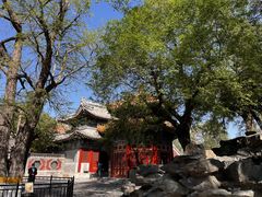 -北京艺术博物馆(万寿寺)