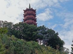 -南沙蒲洲花园