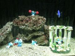 -北戴河圣蓝海洋公园