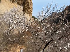 -黑龙潭风景区