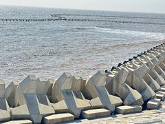 -南汇嘴观海公园