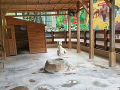 -海合安成都极地海洋公园