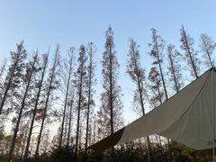 -前小桔亲子创意农场·草莓采摘·露营烧烤