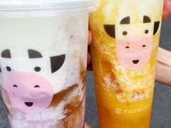 -一只酸奶牛(八一路店)