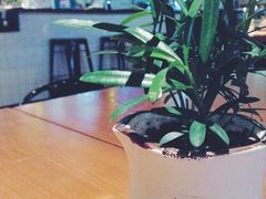 -JINNS锦时 steak&pizza(浸信会礼拜堂旧址店)