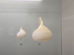 -青岛贝壳博物馆