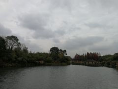 -艾溪湖湿地公园