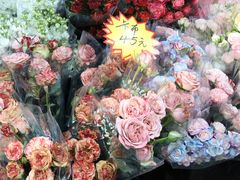 -循礼门鲜花花市(武汉循礼门店)