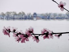 -颐和园