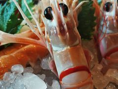-Mr·Fish鱼鲜生海鲜放题(银泰in99店)