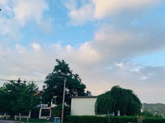-大鹿岛