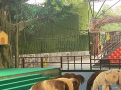 -杭州野生动物世界