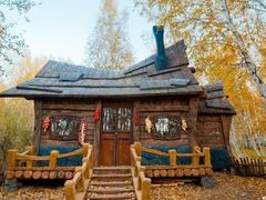 -乌兰布统景区-白桦林