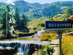 -紫鹊界梯田景区