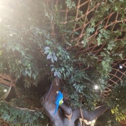 -奇幻丛林(佛罗伦萨小镇店)