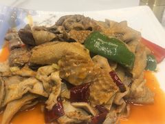 -马白开来特色羊排揪片子  (总店)