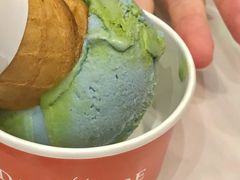 燕麦地球-Dal Cuore 达可芮冰淇淋(陕西北路店)