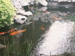 -鲤院·新中式美学·庭院餐厅(夫子庙店)