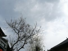 -阿鹏故事云南野生菌火锅(人民路店)