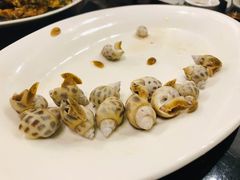 东风螺-大厝宅海鲜馆