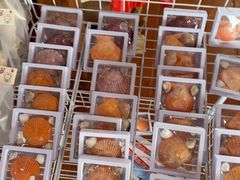 -蓝湾碧波·老字号·疍家非遗海上餐厅