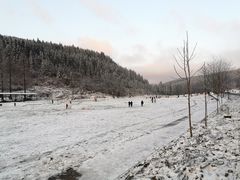 -武陵山森林公园