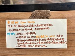 -酷以爬仙阁实体爬宠店·守宫·蜥蜴·专业繁育