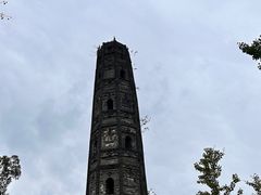 -上海佘山国家森林公园天马山园