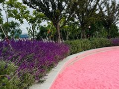 -上海山野camping·户外天幕烧烤·团建拓展营地
