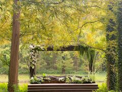 -黄海国家森林公园