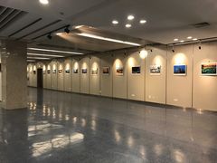 -金陵图书馆