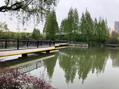-黄兴公园