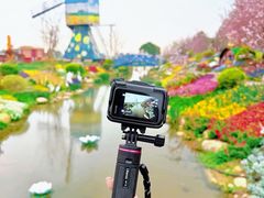 -荷兰花海