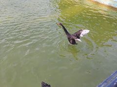 -蓬莱欧乐堡梦幻世界