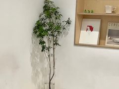 -素咫咖啡CLIFEROSE