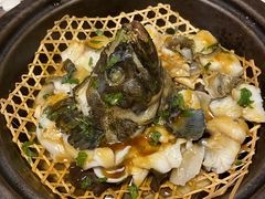 九层塔焗龙胆石斑-林四喜·闽南传家菜(鼓浪屿店)