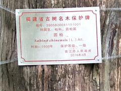 -草庵摩尼教遗址公园