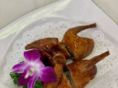 乳鸽-明香海鲜酒家(华强北店)