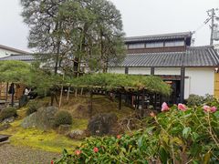 -中村藤吉(本店)
