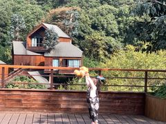 -杭州开元森泊度假乐园