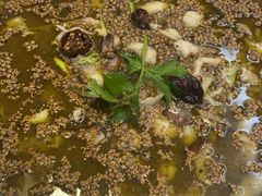 -大河宴·椒麻鱼火锅(米东区店)