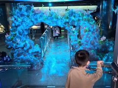 -陕西自然博物馆