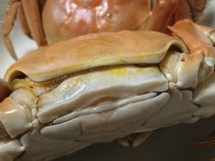 -黄记大闸蟹专卖店·活蟹·醉蟹