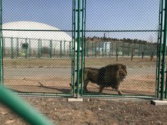 -鄂尔多斯野生动物园