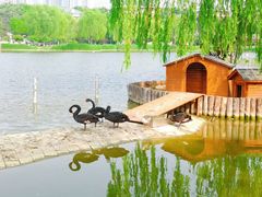 -西海子公园