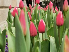 -上海市第八中学