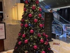 -上海锦江汤臣洲际大酒店壹阶层