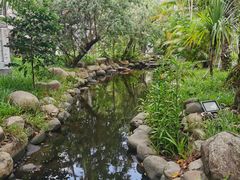 -三亚海棠湾南田温泉神龙谷