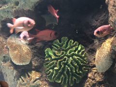 -苏州海洋馆